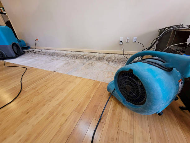 Professional Water Damage Repair technician working in Murrayville, GA